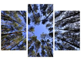 4-piece-canvas-print-under-high-treetops