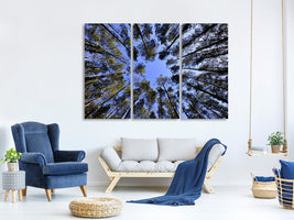 4-piece-canvas-print-under-high-treetops