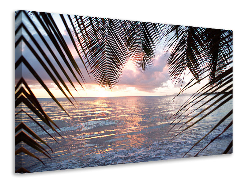 panoramic-canvas-print-under-palm-leaves