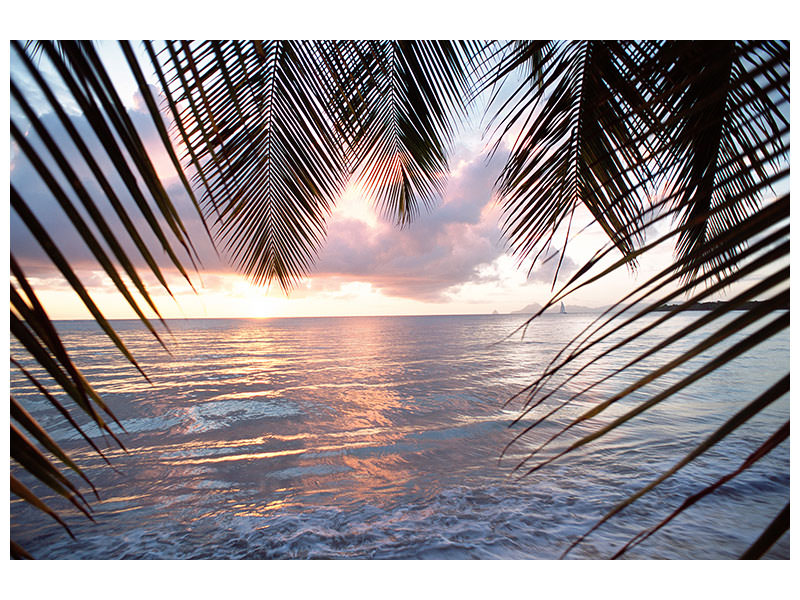 modern-4-piece-canvas-print-under-palm-leaves