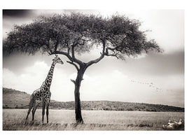 3-piece-canvas-print-under-the-african-sun