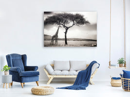 3-piece-canvas-print-under-the-african-sun