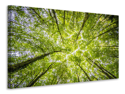 5-piece-canvas-print-under-the-treetops