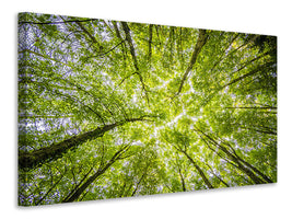 modern-3-piece-canvas-print-under-the-treetops