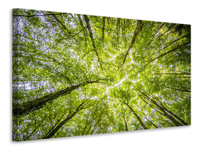 modern-3-piece-canvas-print-under-the-treetops