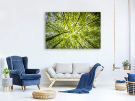 3-piece-canvas-print-under-the-treetops