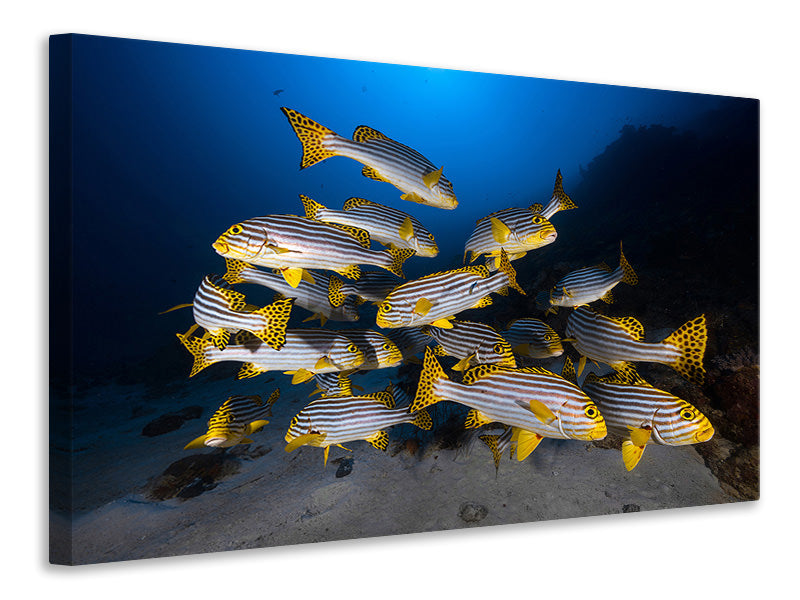 panoramic-3-piece-canvas-print-fish-in-the-dance-of-the-waves