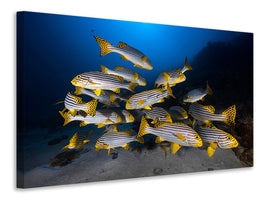 5-piece-canvas-print-fish-in-the-dance-of-the-waves