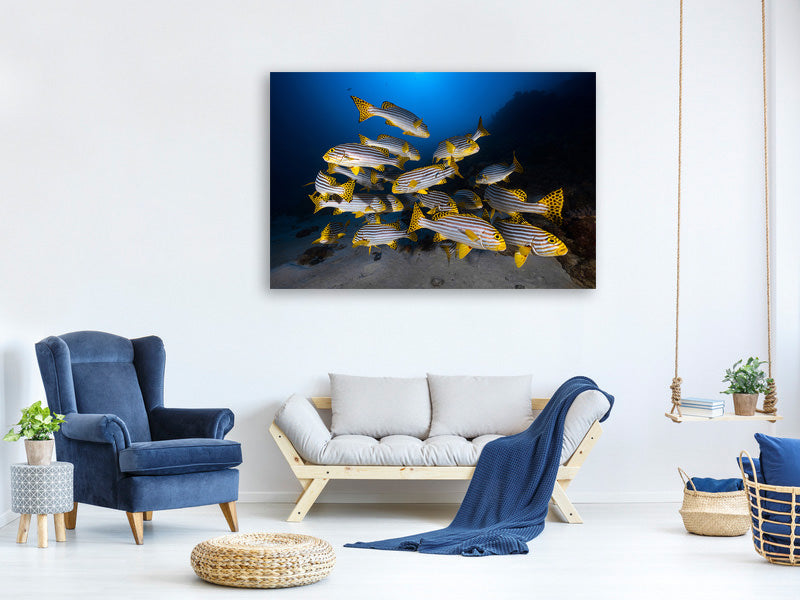 modern-4-piece-canvas-print-fish-in-the-dance-of-the-waves