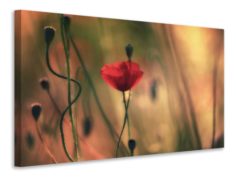 4-piece-canvas-print-untitled-xxviii
