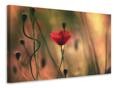 5-piece-canvas-print-untitled-xxviii