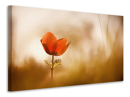 panoramic-3-piece-canvas-print-untitled-xxxi