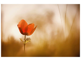 3-piece-canvas-print-untitled-xxxi