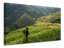 3-piece-canvas-print-untitled-xi-p