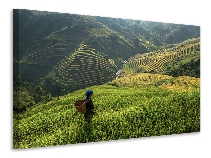 3-piece-canvas-print-untitled-xi-p