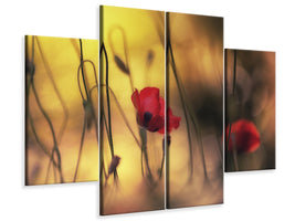 panoramic-canvas-print-untitled-xvi-p