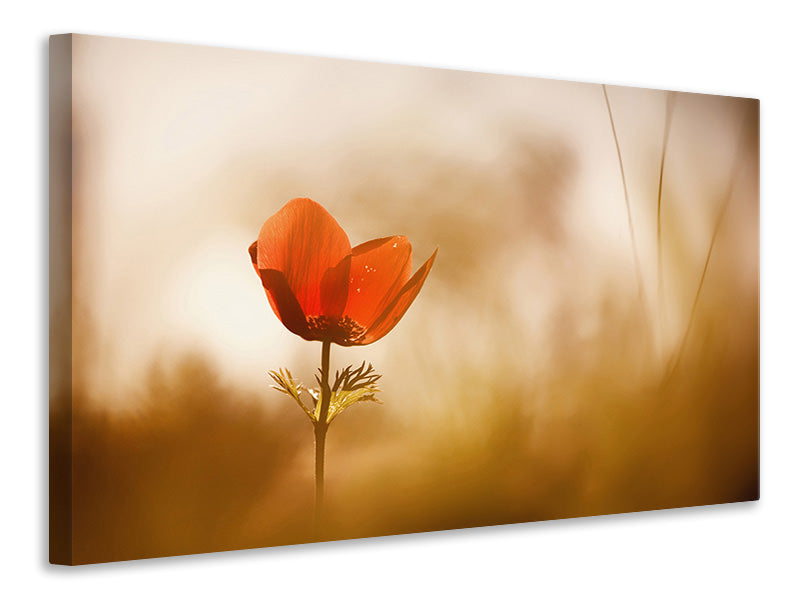 panoramic-canvas-print-untitled-xxxi