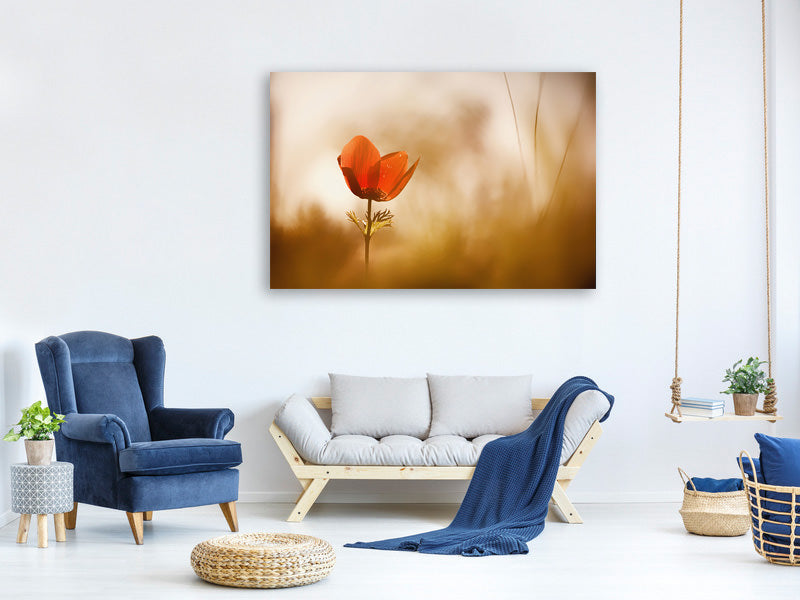 3-piece-canvas-print-untitled-xxxi