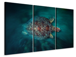 modern-4-piece-canvas-print-valocity-turtle