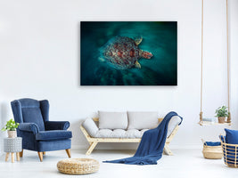 modern-4-piece-canvas-print-valocity-turtle