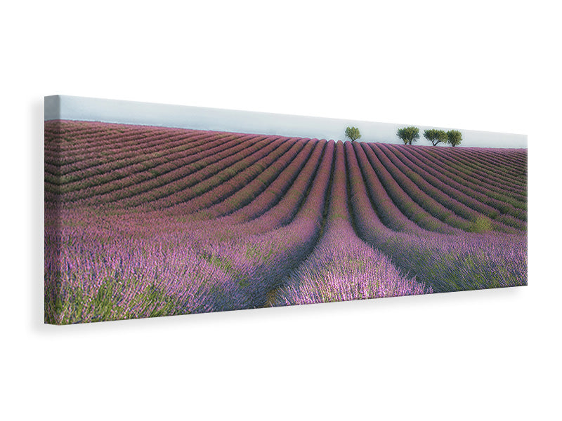 4-piece-canvas-print-velours-de-lavender