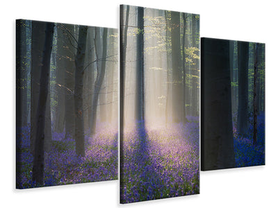 canvas-print-velvet-light