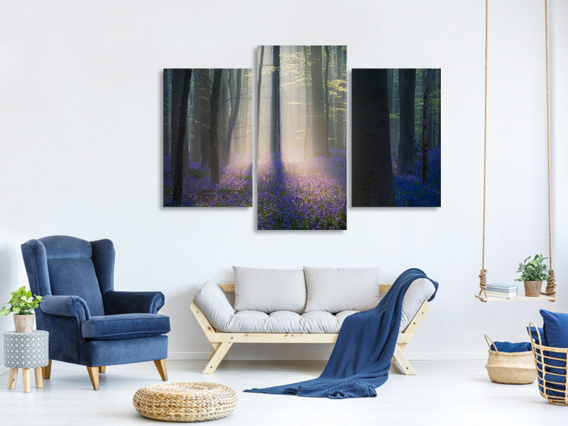 canvas-print-velvet-light