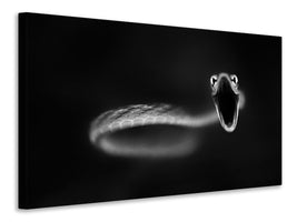 panoramic-canvas-print-vine-snake-strike