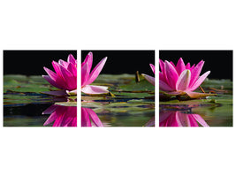 canvas-print-water-lilies-duo-in-pink