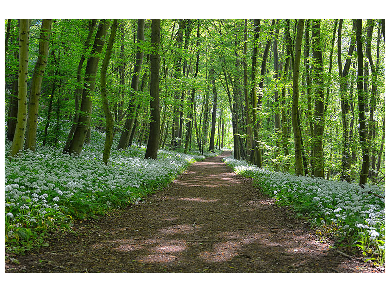 3-piece-canvas-print-we-love-the-summer-in-the-woods