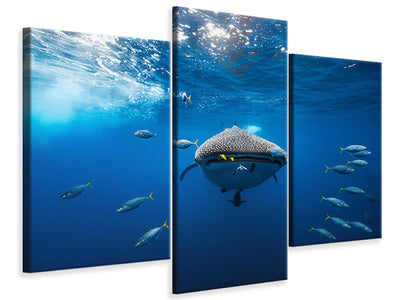 panoramic-3-piece-canvas-print-under-the-waves