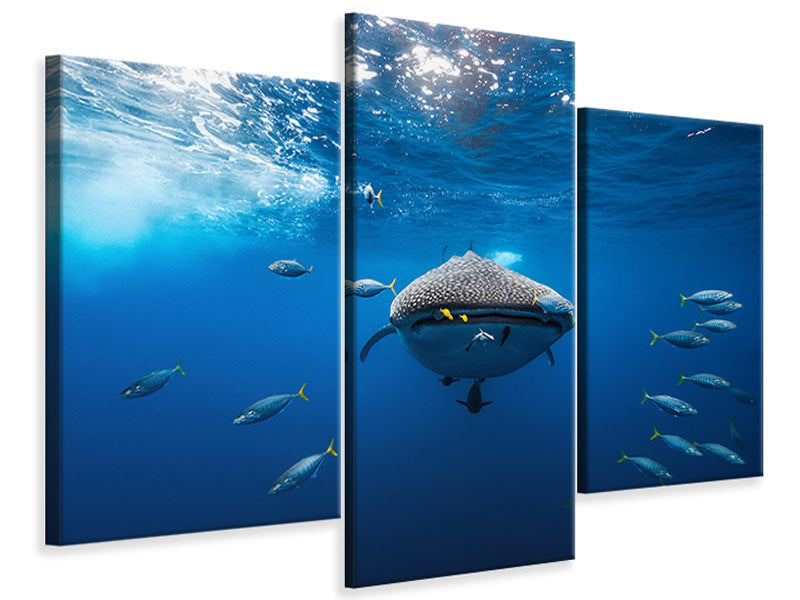 canvas-print-under-the-waves