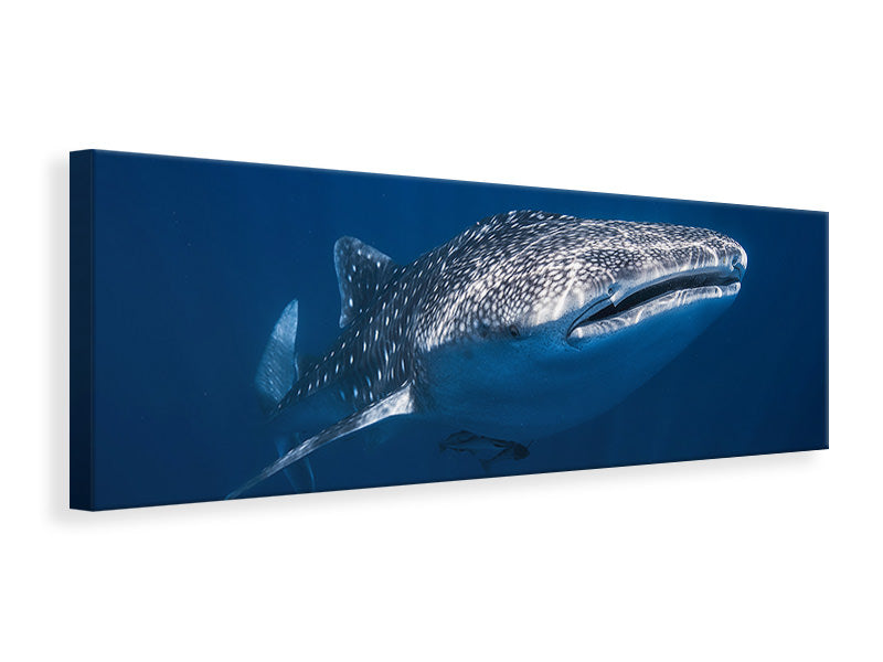 3-piece-canvas-print-whale-shark