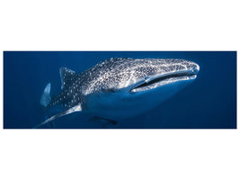 canvas-print-whale-shark
