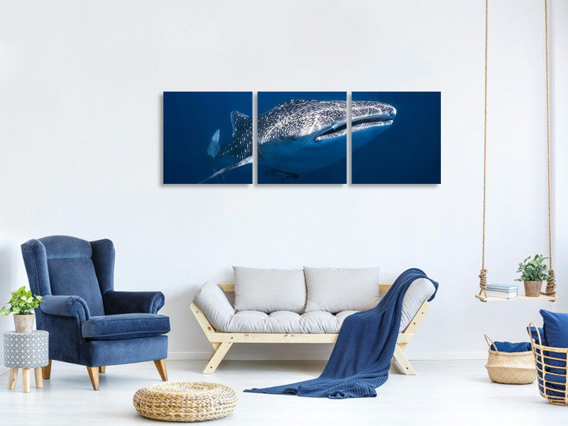 canvas-print-whale-shark