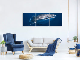 3-piece-canvas-print-whale-shark