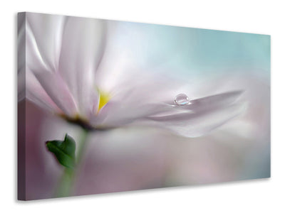 modern-4-piece-canvas-print-where-dreams-come-true