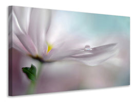 panoramic-canvas-print-where-dreams-come-true
