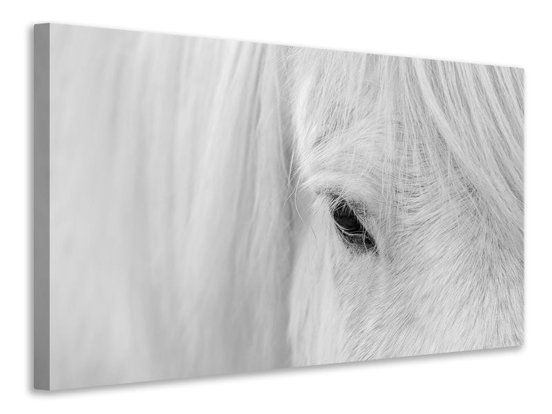panoramic-canvas-print-whisper-of-iceland