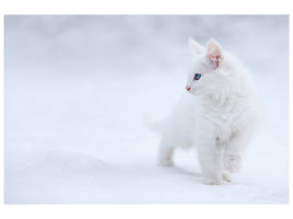 3-piece-canvas-print-white-as-snow