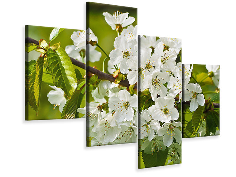 modern-3-piece-canvas-print-white-flowers-in-xl