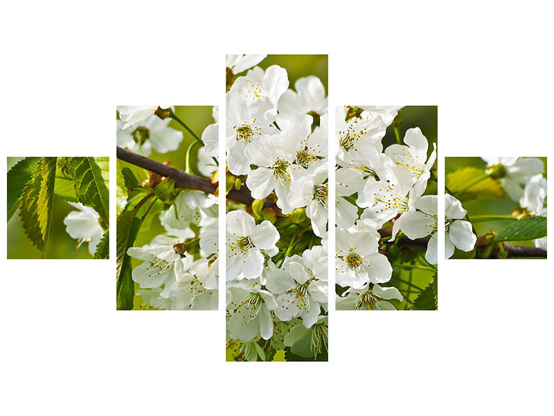 modern-4-piece-canvas-print-white-flowers-in-xl