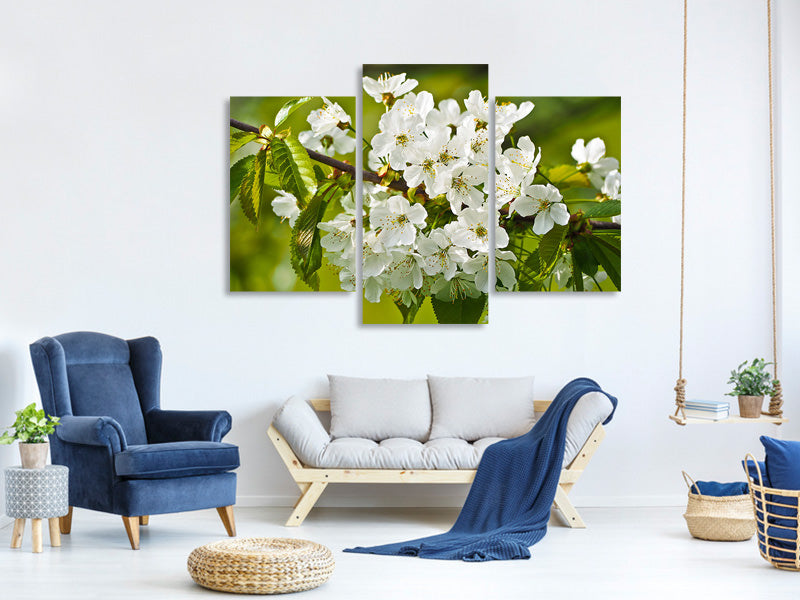 3-piece-canvas-print-white-flowers-in-xl