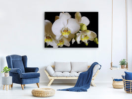 3-piece-canvas-print-white-orchids-in-bloom