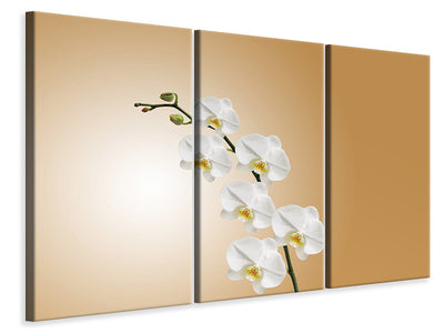 modern-3-piece-canvas-print-white-orchids-xl