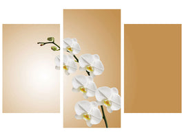 5-piece-canvas-print-white-orchids-xl