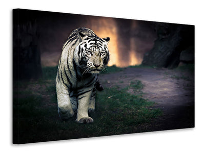 3-piece-canvas-print-white-walker