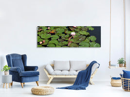 panoramic-3-piece-canvas-print-white-water-lilies-in-the-pond
