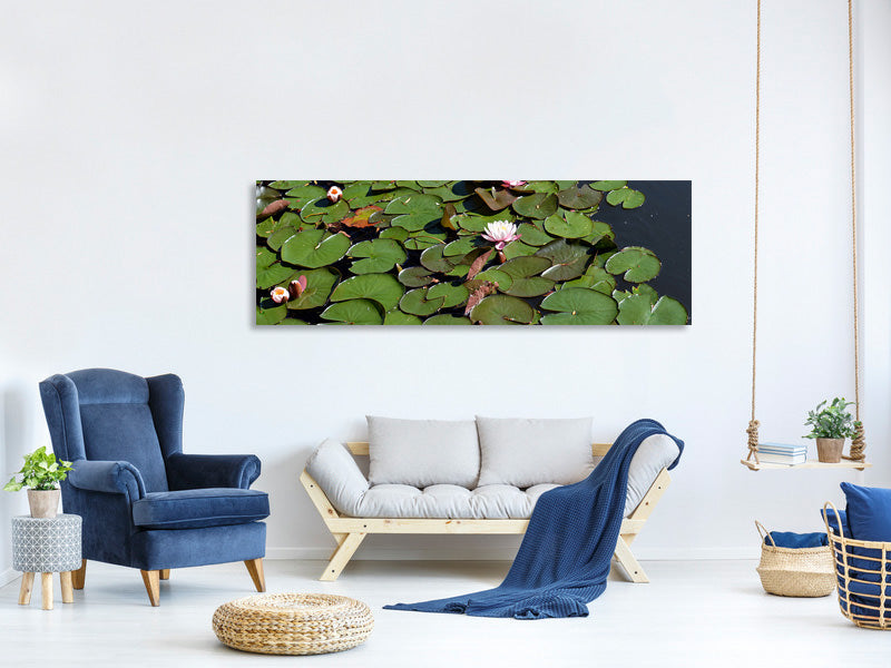 panoramic-3-piece-canvas-print-white-water-lilies-in-the-pond