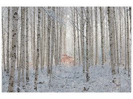 panoramic-canvas-print-white